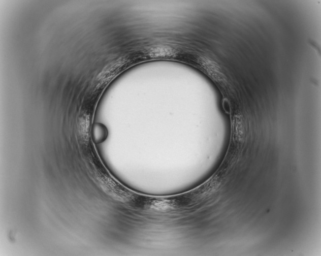 X0000102260550200808151843