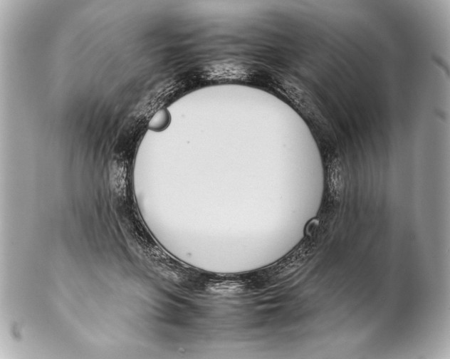 X0000102260551200808151843