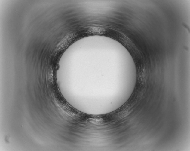 X0000102260552200808151843