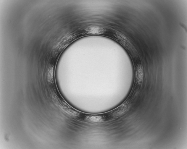 X0000102260554200808151843