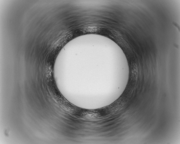 X0000102260555200808151843