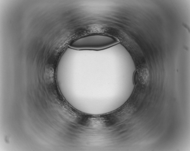 X0000102260556200808151843
