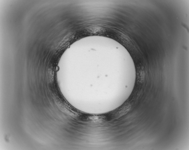 X0000102260558200808151843