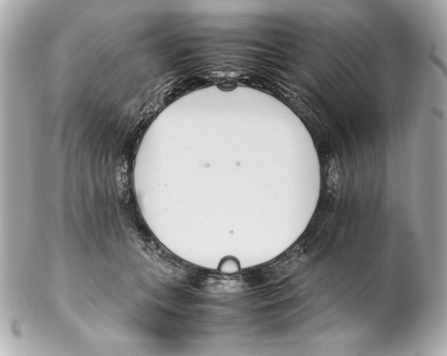 X0000102260559200808151843