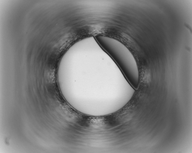 X0000102260560200808151843
