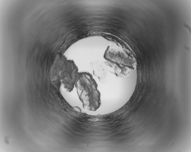 X0000102260561200808151843