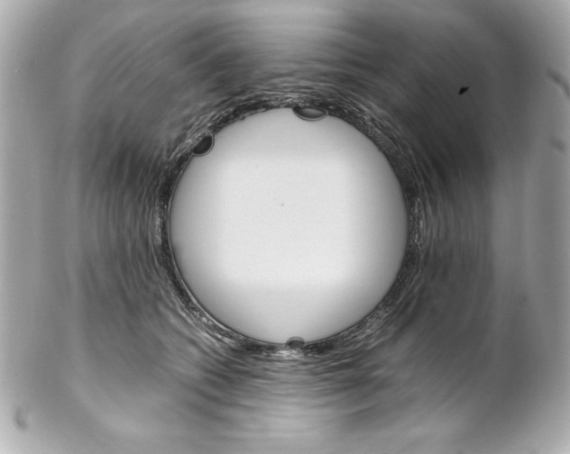 X0000102260562200808151843