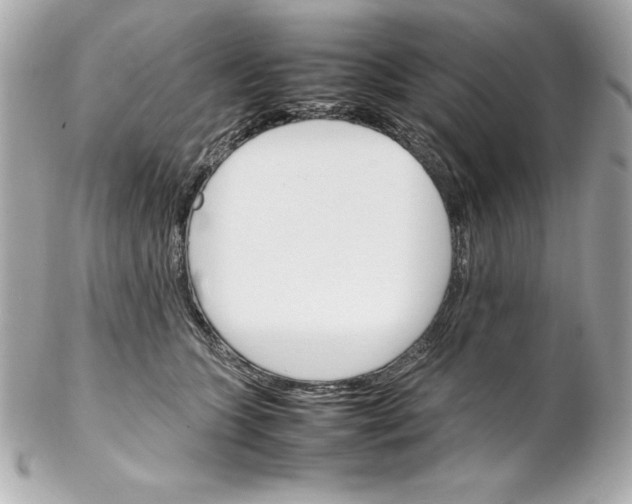 X0000102260563200808151843