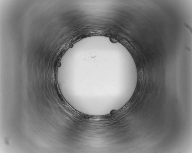X0000102260564200808151843