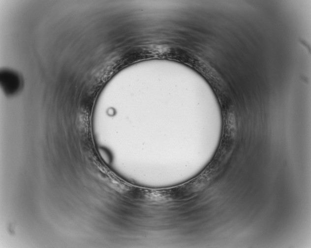 X0000102260565200808151843