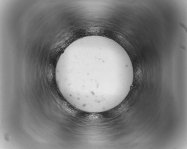 X0000102260566200808151843
