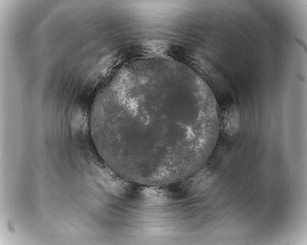 X0000102260568200808151843