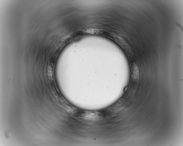 X0000102260569200808151843