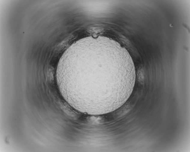 X0000102260570200808151843