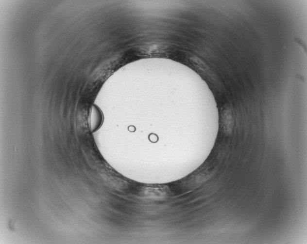 X0000102260571200808151843