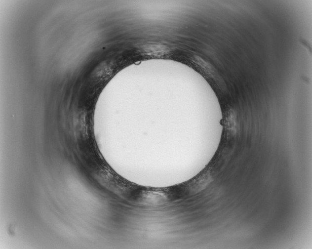 X0000102260572200808151843