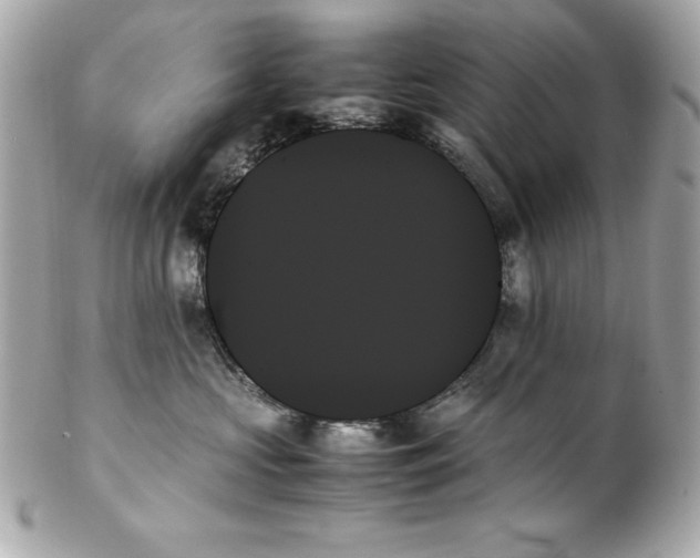 X0000102260573200808151843