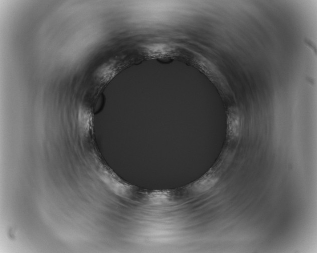 X0000102260574200808151843