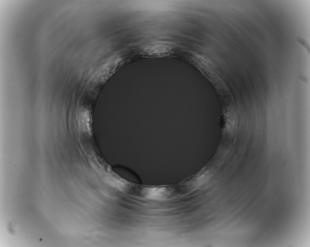 X0000102260575200808151843