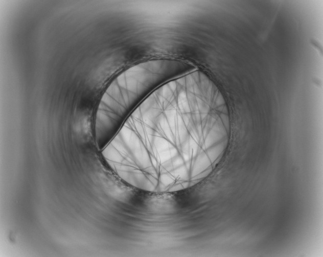 X0000102260576200808151843