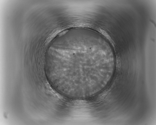 X0000102260577200808151843