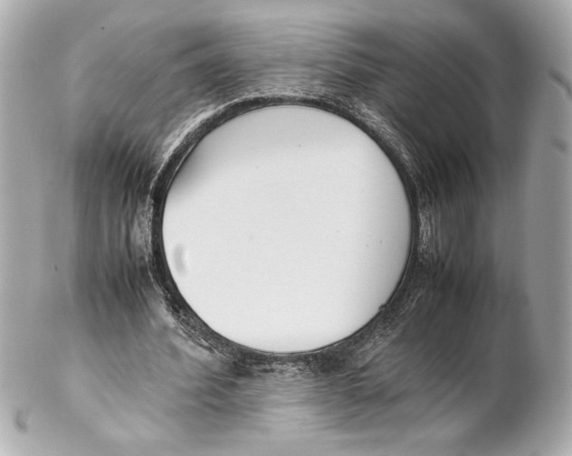 X0000102260580200808151843