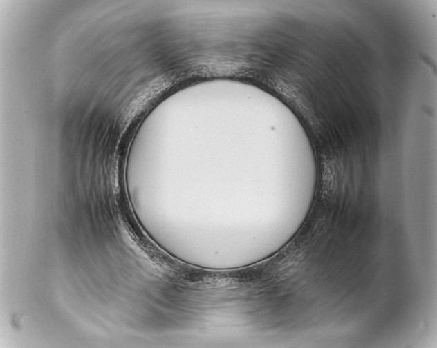 X0000102260582200808151843
