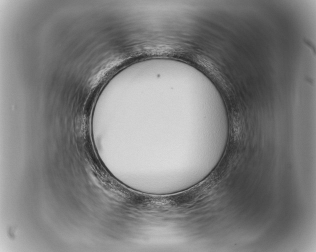 X0000102260583200808151843
