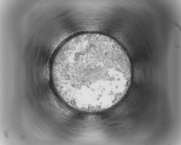 X0000102260584200808151843