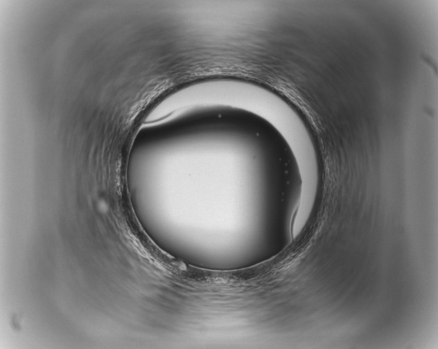X0000102260585200808151843