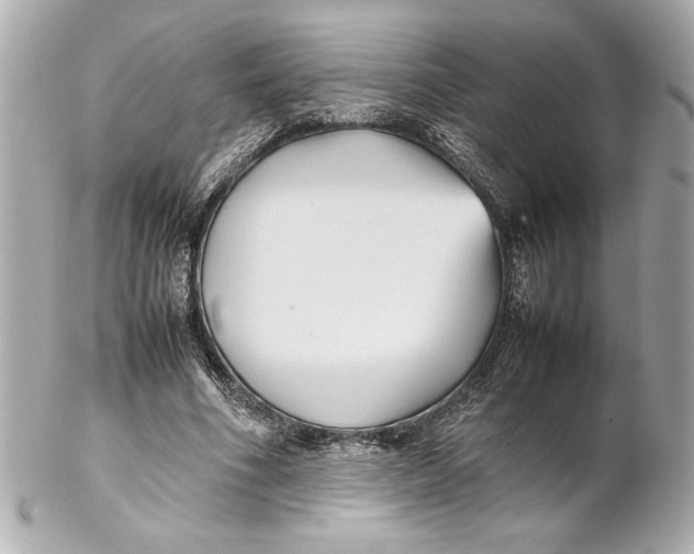X0000102260586200808151843