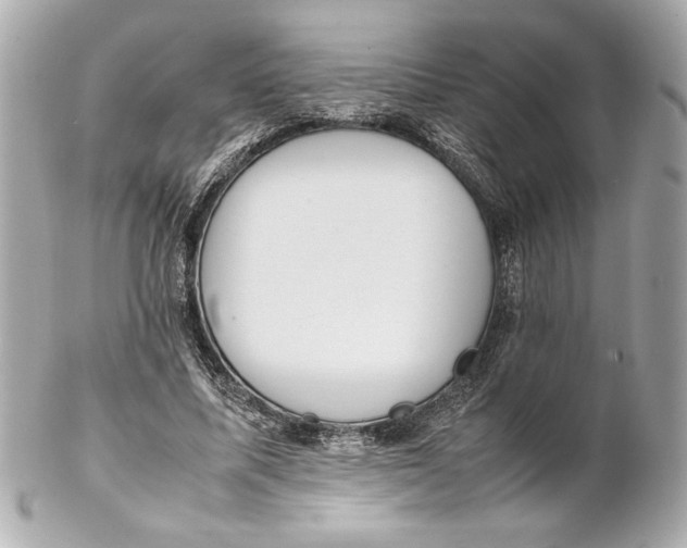 X0000102260587200808151843