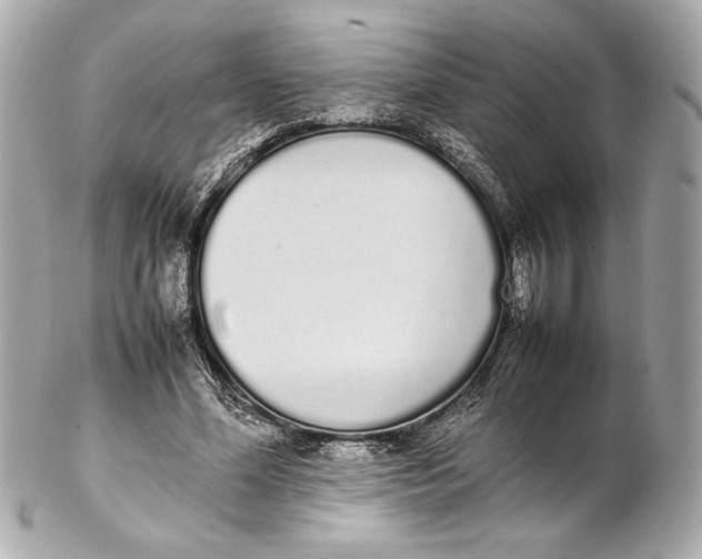 X0000102260588200808151843