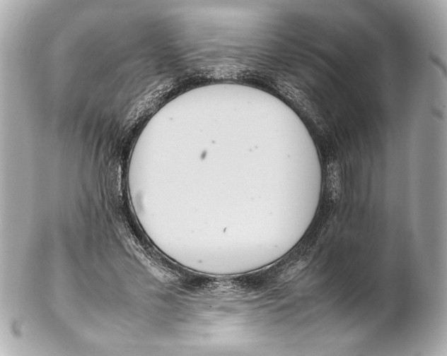 X0000102260589200808151843