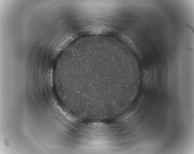X0000102260590200808151843