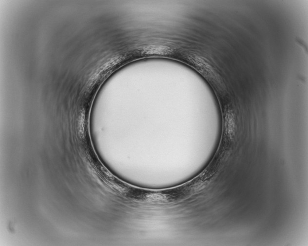 X0000102260591200808151843