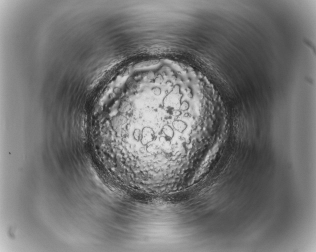 X0000102260592200808151843