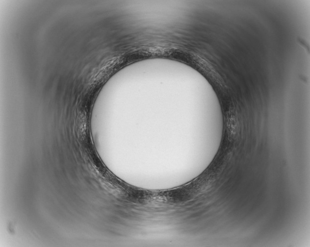 X0000102260593200808151843