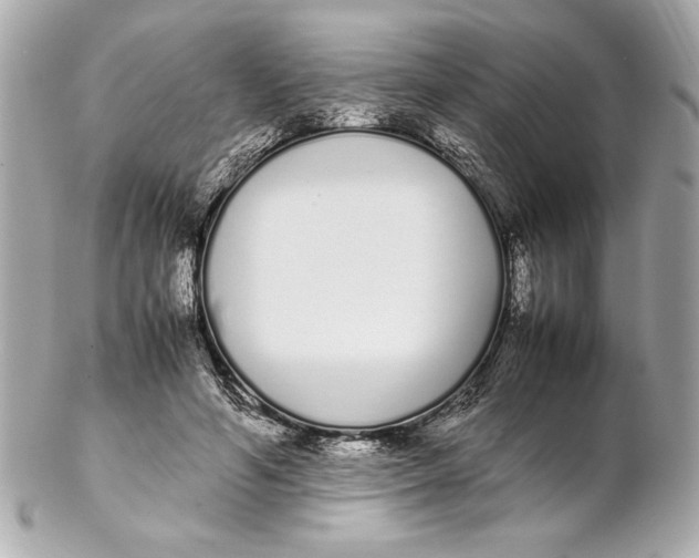 X0000102260594200808151843