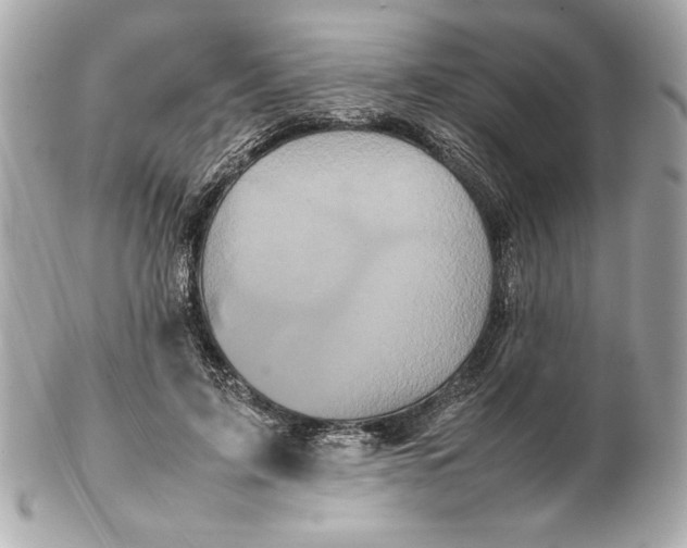 X0000102260595200808151843