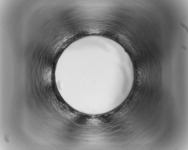 X0000102260596200808151843