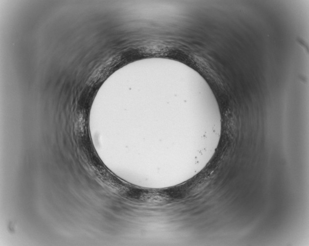 X0000102260597200808151842