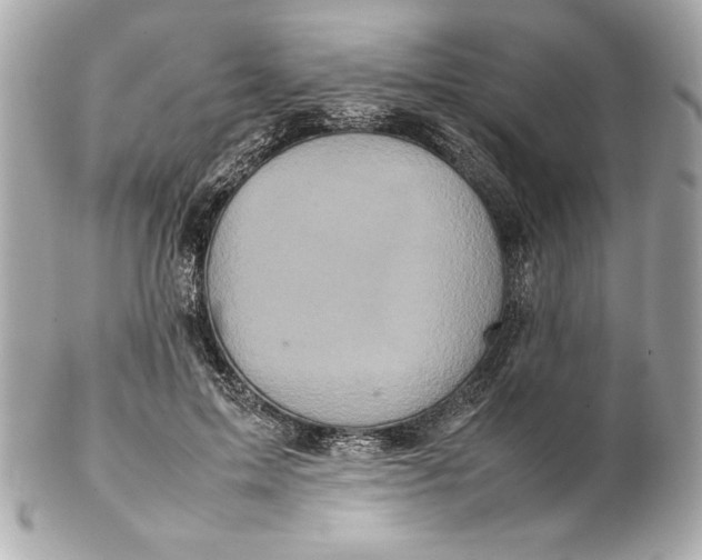 X0000102260599200808151842