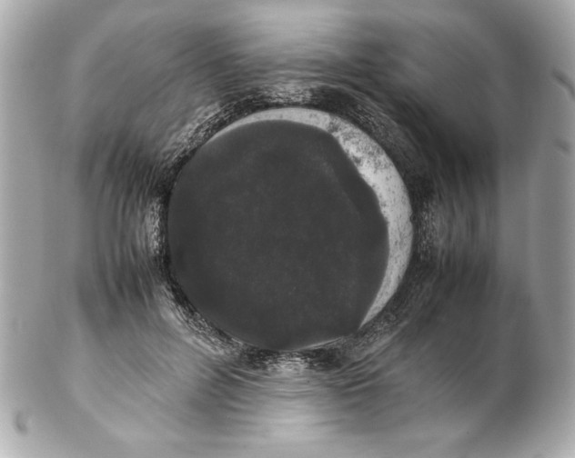 X0000102260600200808151842