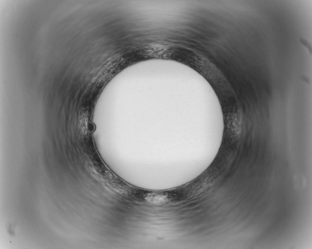 X0000102260602200808151842