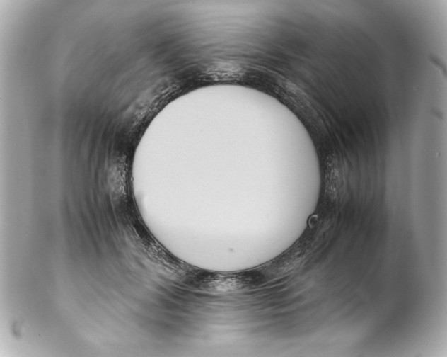 X0000102260604200808151842