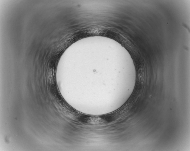 X0000102260605200808151842