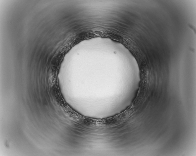 X0000102260606200808151842