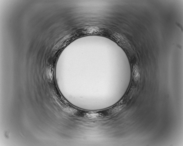 X0000102260607200808151842