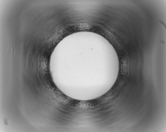 X0000102260608200808151842